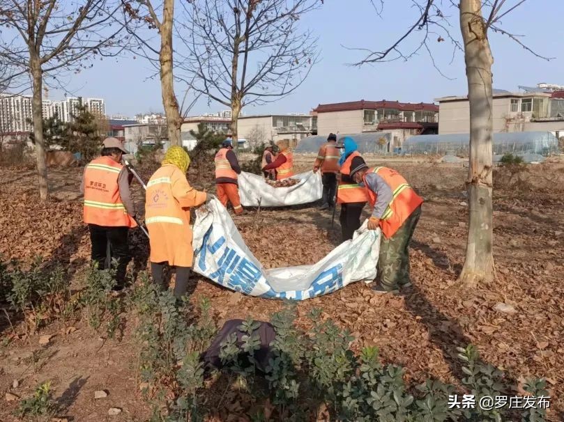 定了！2022年临沂市普通中小学假期安排出炉…来了，罗庄新闻直通车