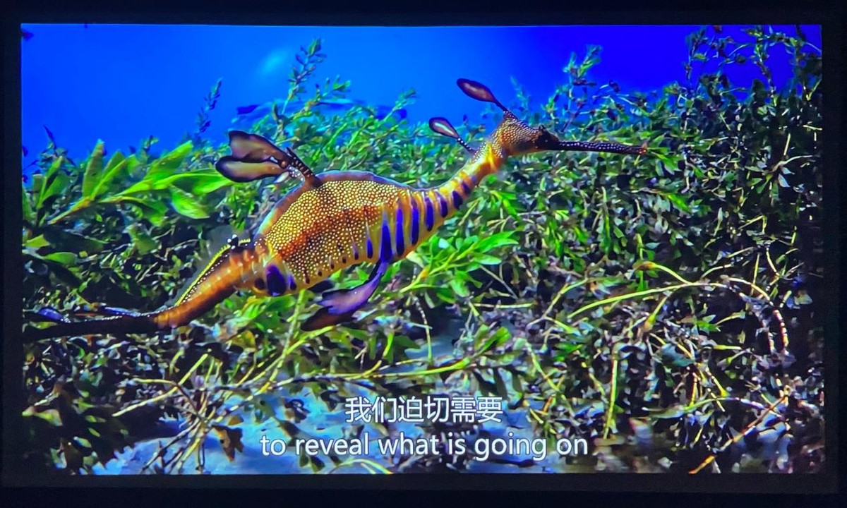 萌娃最爱，千元价格，真1080P泰捷WEBOX T1S投影仪体验