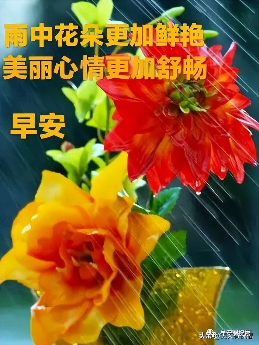 唯美暖心祝福短句图片(清晨唯美漂亮祝福图文短句)