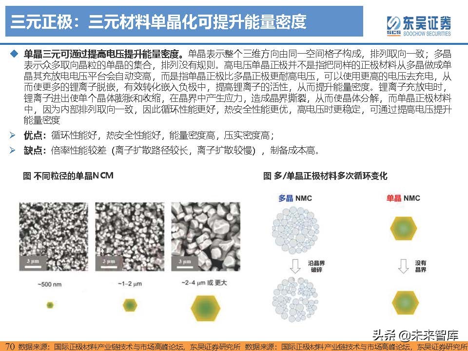 电动车行业深度研究及2022年度策略报告：万紫千红总是春