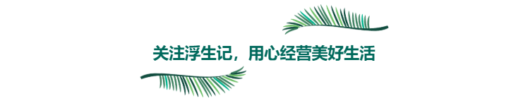 桃红雪山玫瑰（桃红雪山玫瑰的花语含义图片）