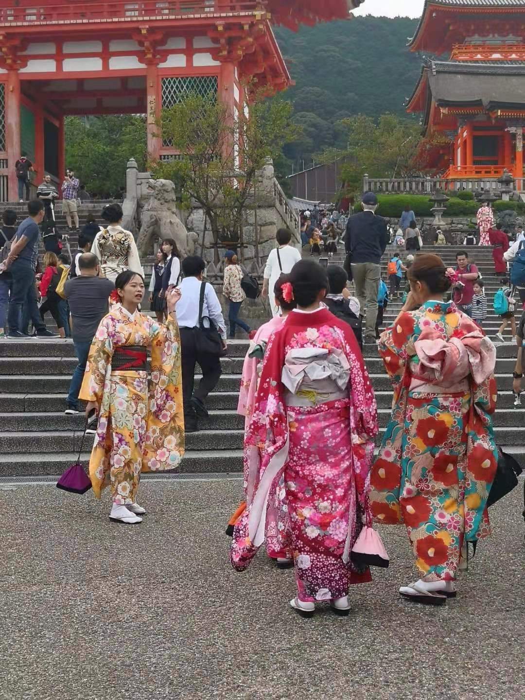 日本究竟是个怎样的国家？多次旅居日本的陪读妈妈告诉你