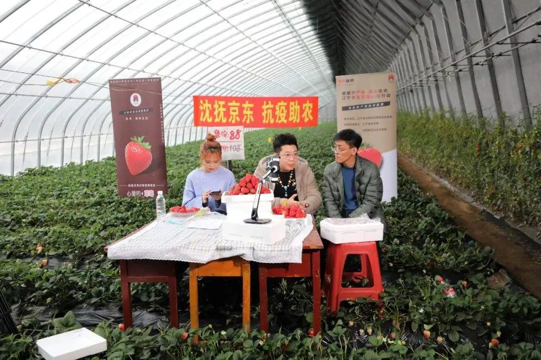 京东春晚“炫技”：一场“实物玩法”下的技术大考