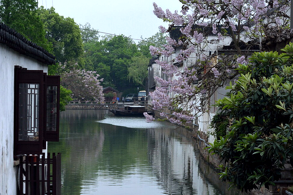 苏州赏花景点图片