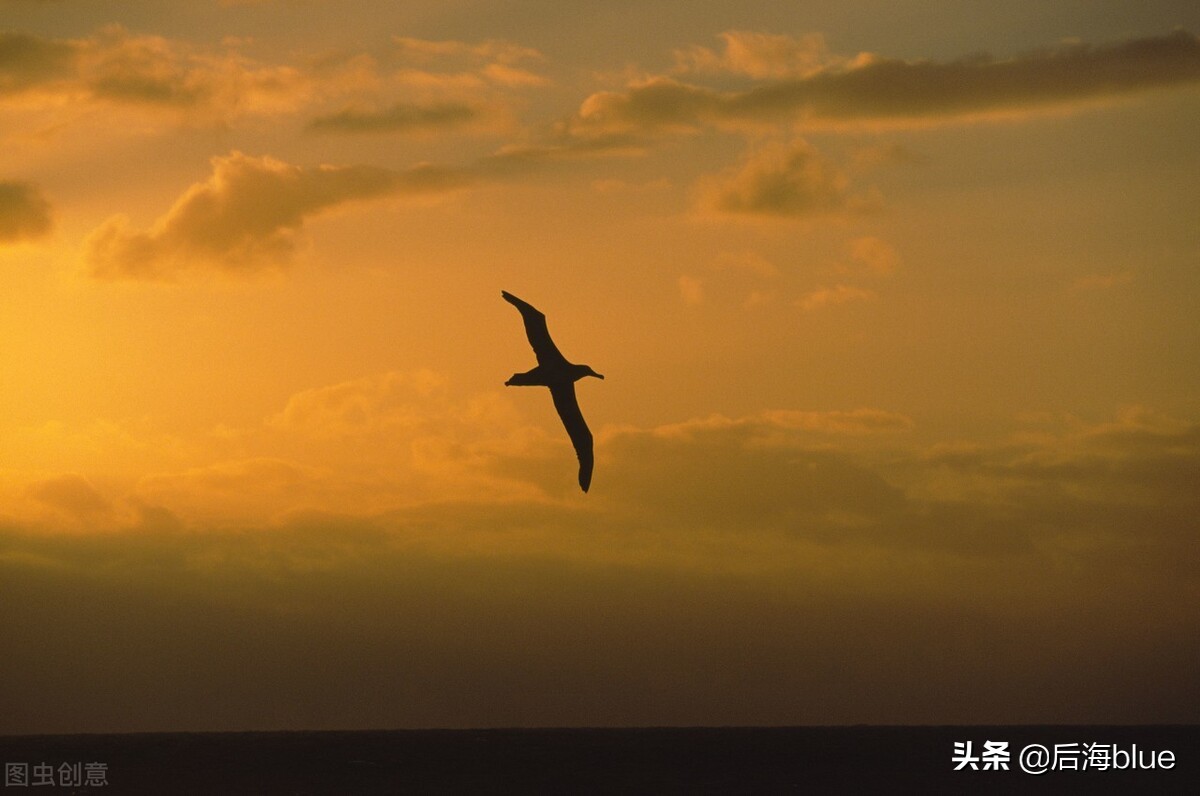 一首小詩，送给正在奋斗的你