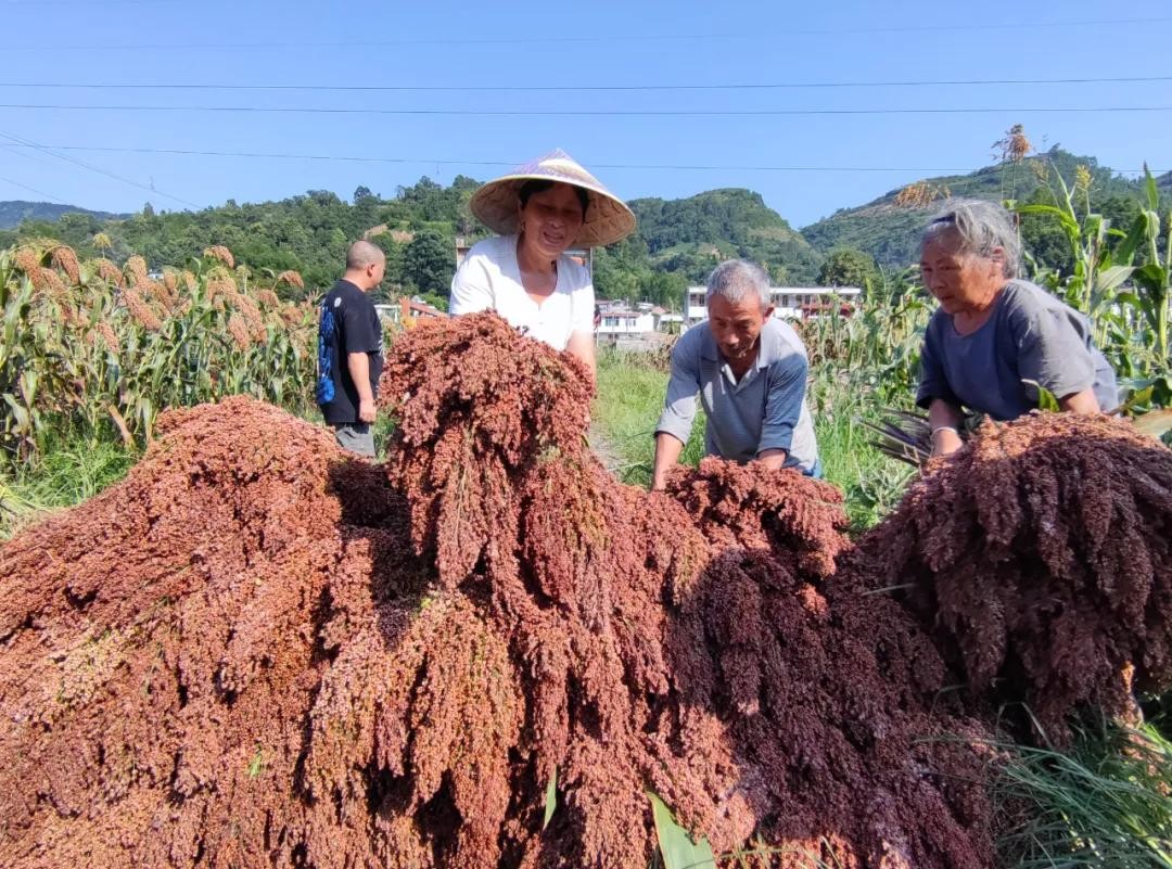 喝完白酒很难受？不是你喝多了，而是酒有问题，你中过招吗？