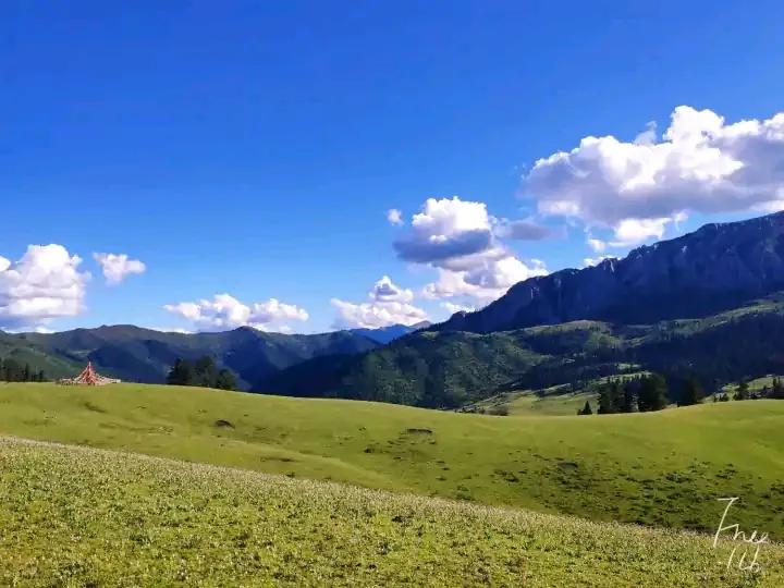 不一样的支教，不一样的人生，记录我在藏区学校支教的日子