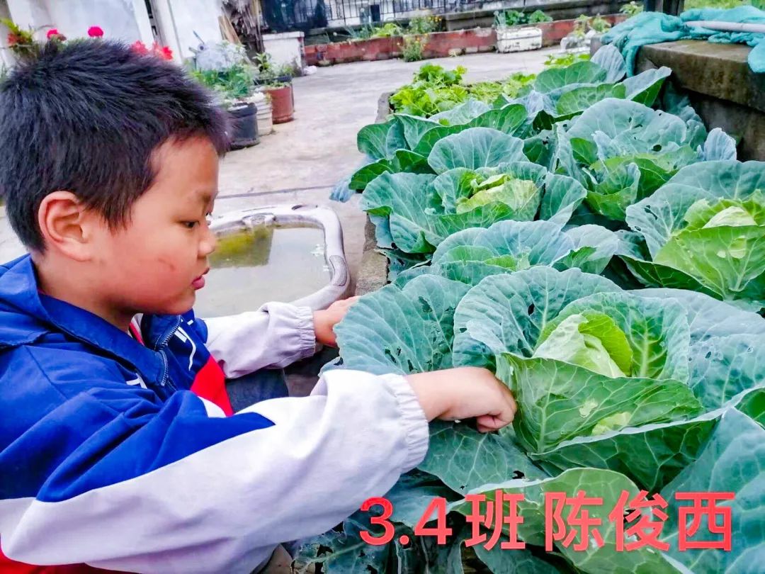 黄甲小学开展“人人参与科技节，我的科技节我做主”科技节活动