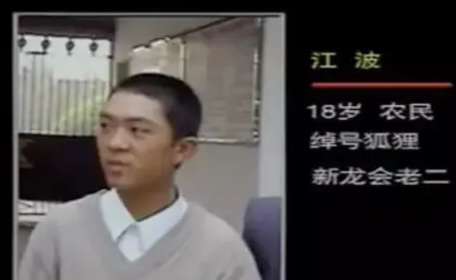 2001年四川5人成立新龙会，3个月发展近百成员，设神偷堂专偷农民