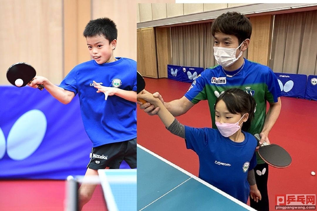 日本新开一家乒乓球学校：将选手送到奥运会不是梦想，而是目标