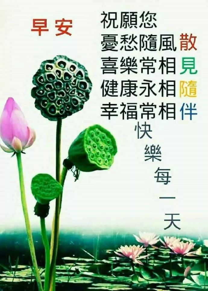 早上好问候语温馨语句 今日更新早上好动态表情包 亲爱的朋友早上好图片