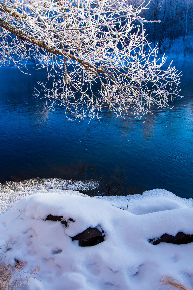 大雪:冬来无恙,落雪为念,愿世间所有的美好,都是恰逢其时