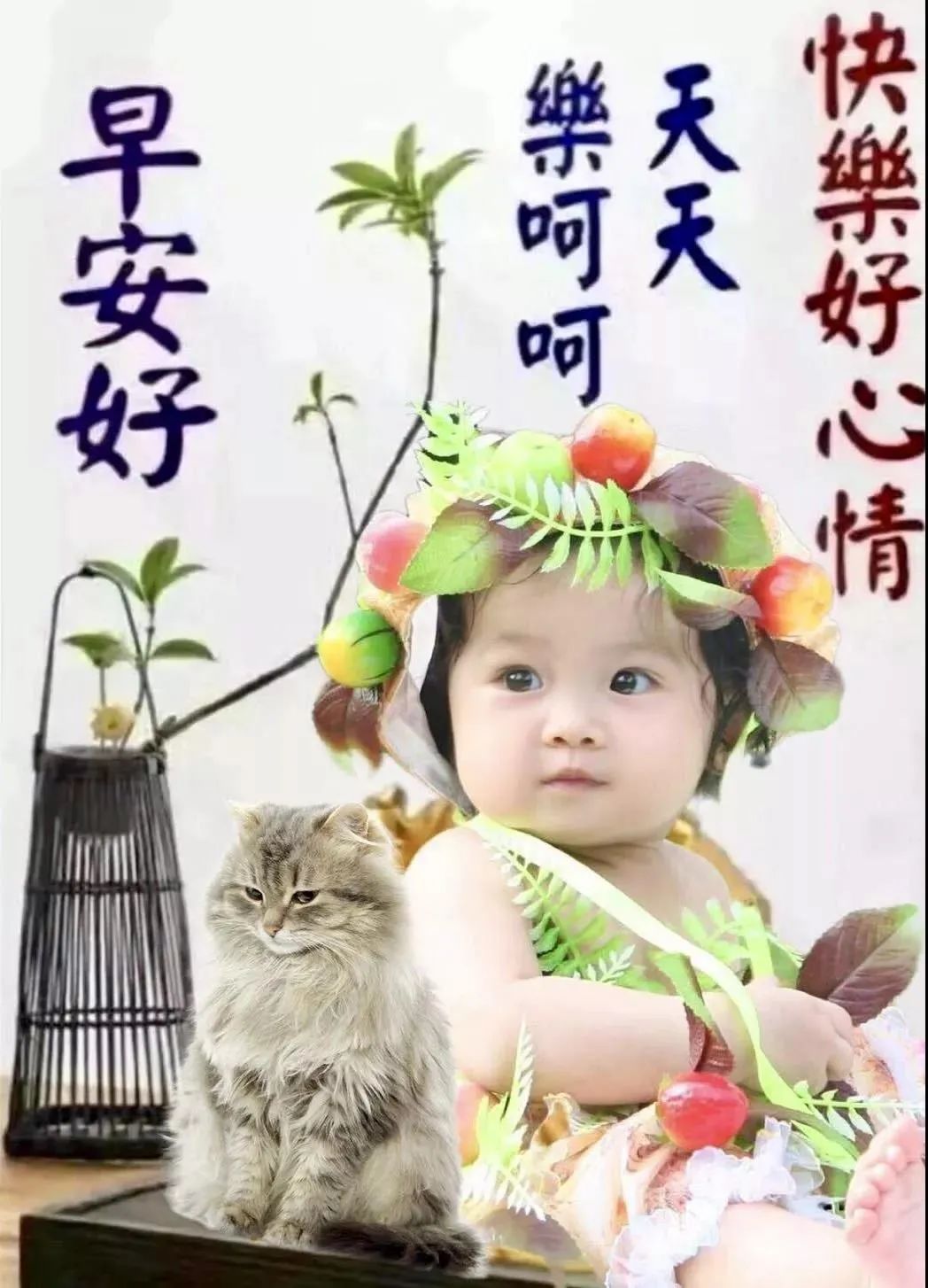 最新创意夏日早上好图片带字 愿你欢欣喜悦、事事都美好图片