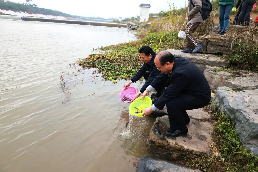 知行合一 落地见效——贯彻落实全市检察长会议精神蒙山县检察院在行动