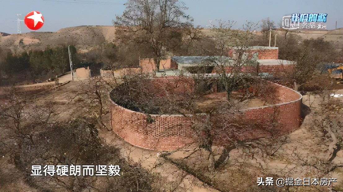 《梦想改造家》：匠心重塑空间，打造理想居所