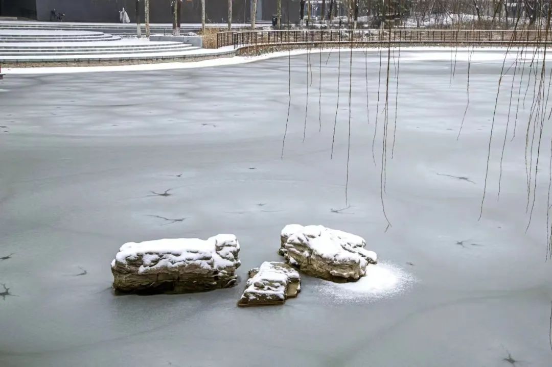 开年瑞雪，师大校园寂静如诗