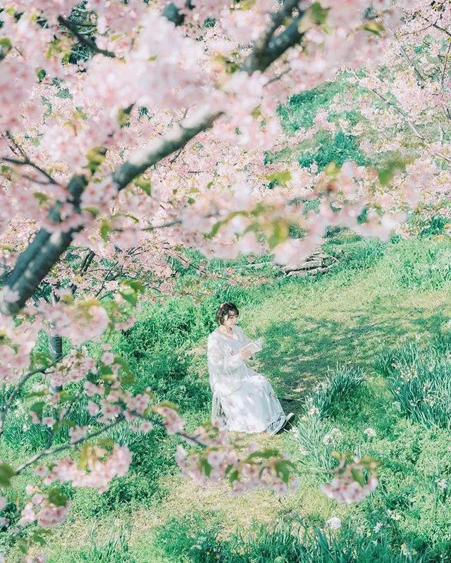 清新唯美的樱花人像