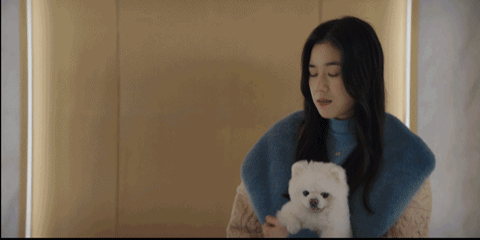 《安娜》不择手段上位史，裴秀智演得好真实，易烊千玺替得好真实