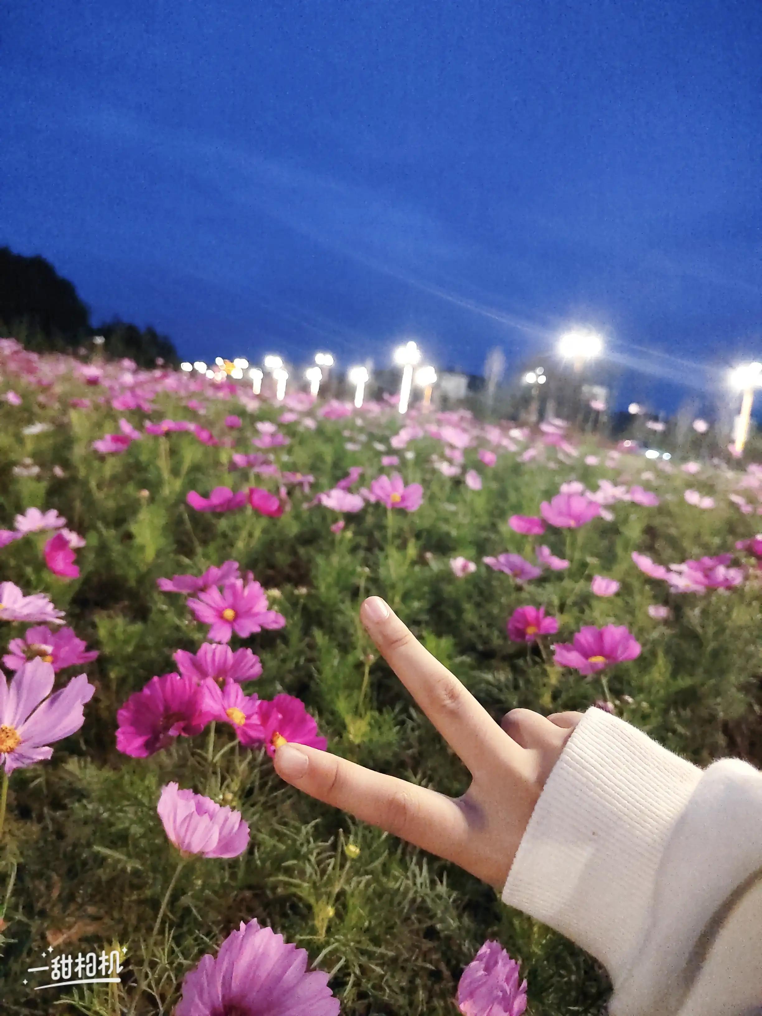40岁的女人该不该买社保