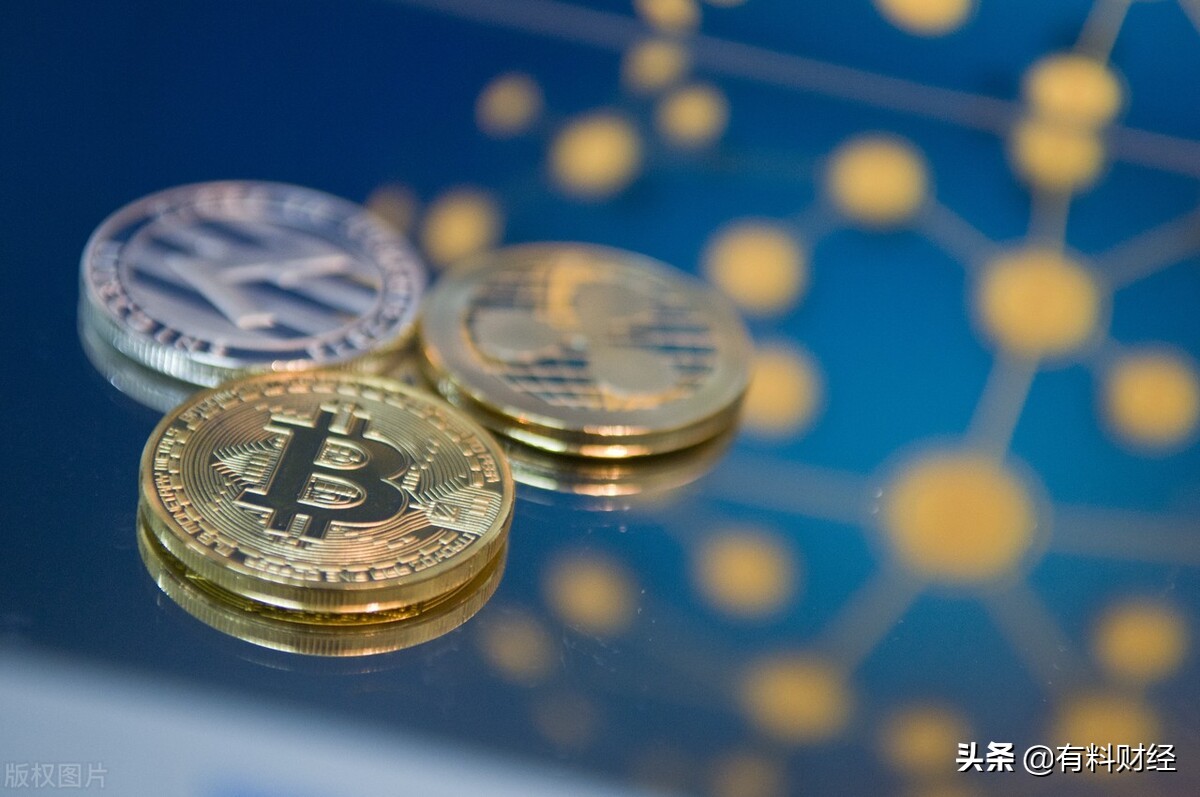 中本聪是谁？马斯克：看看这4家著名公司！BTC比特币价格大跌10%
