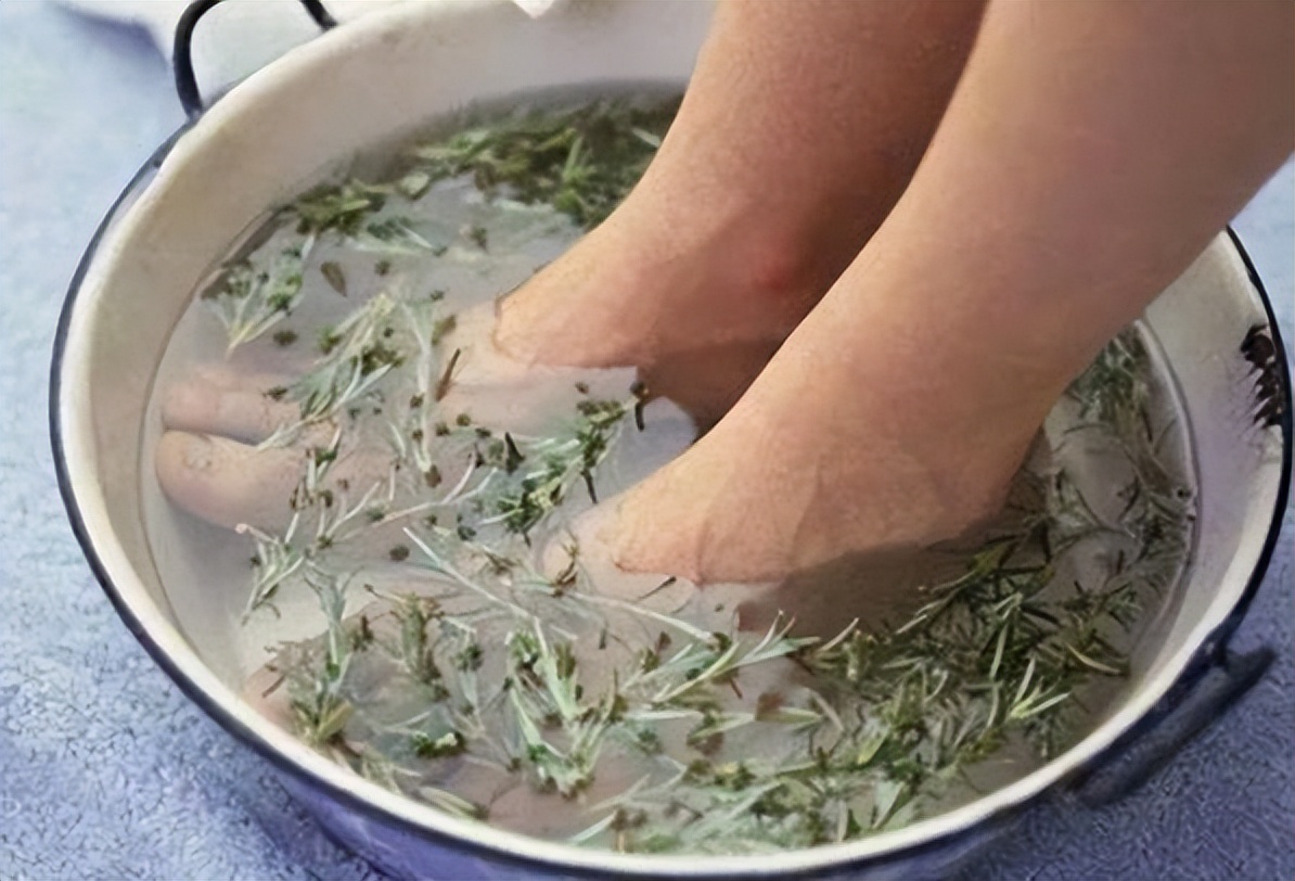 节节草是什么?提醒:老人用它来泡脚,或帮助解决多年"老问题"