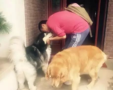 真没想到，这10对明星夫妇是丁克，有人养猫，有人把狗当亲人