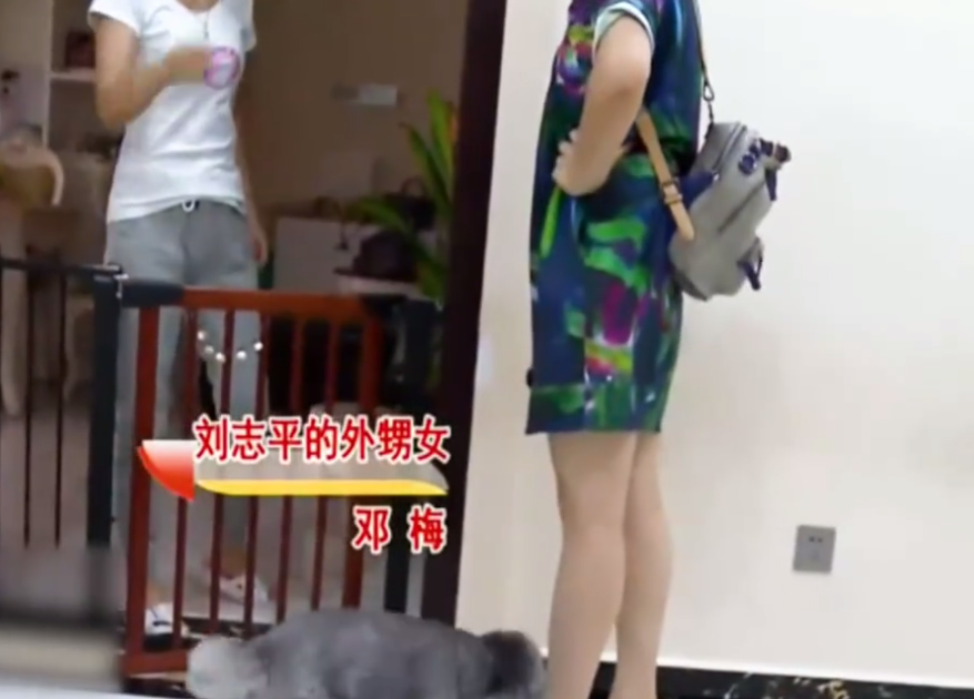 老人将房子给外甥女，瘫痪后求当老板的女儿养老，女儿：不认识他