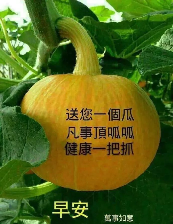 2022早上好祝福动态表情图片，早安愉快，每天都开心图片