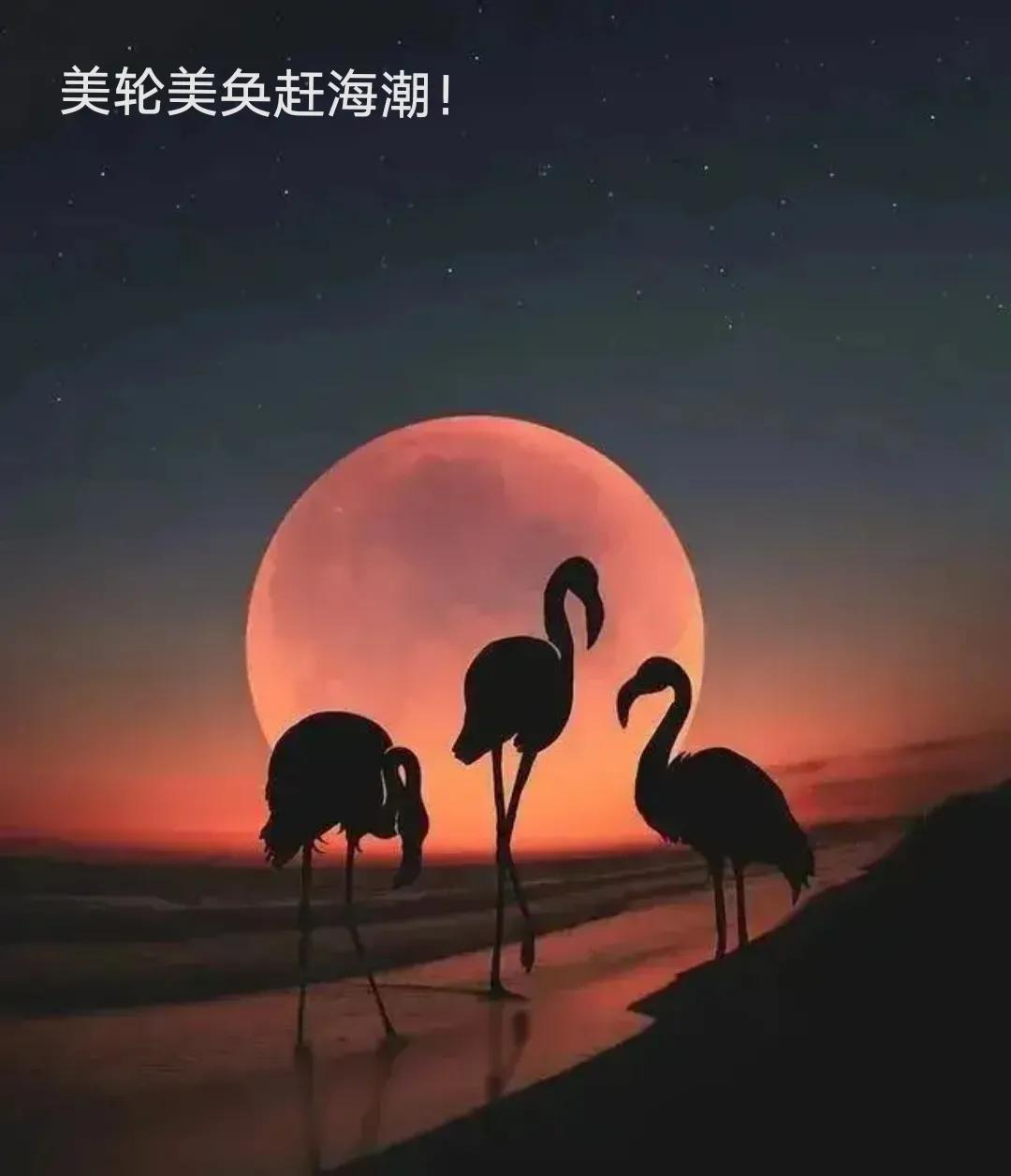 光与影的完美契合，守着夕阳，守望美好生活