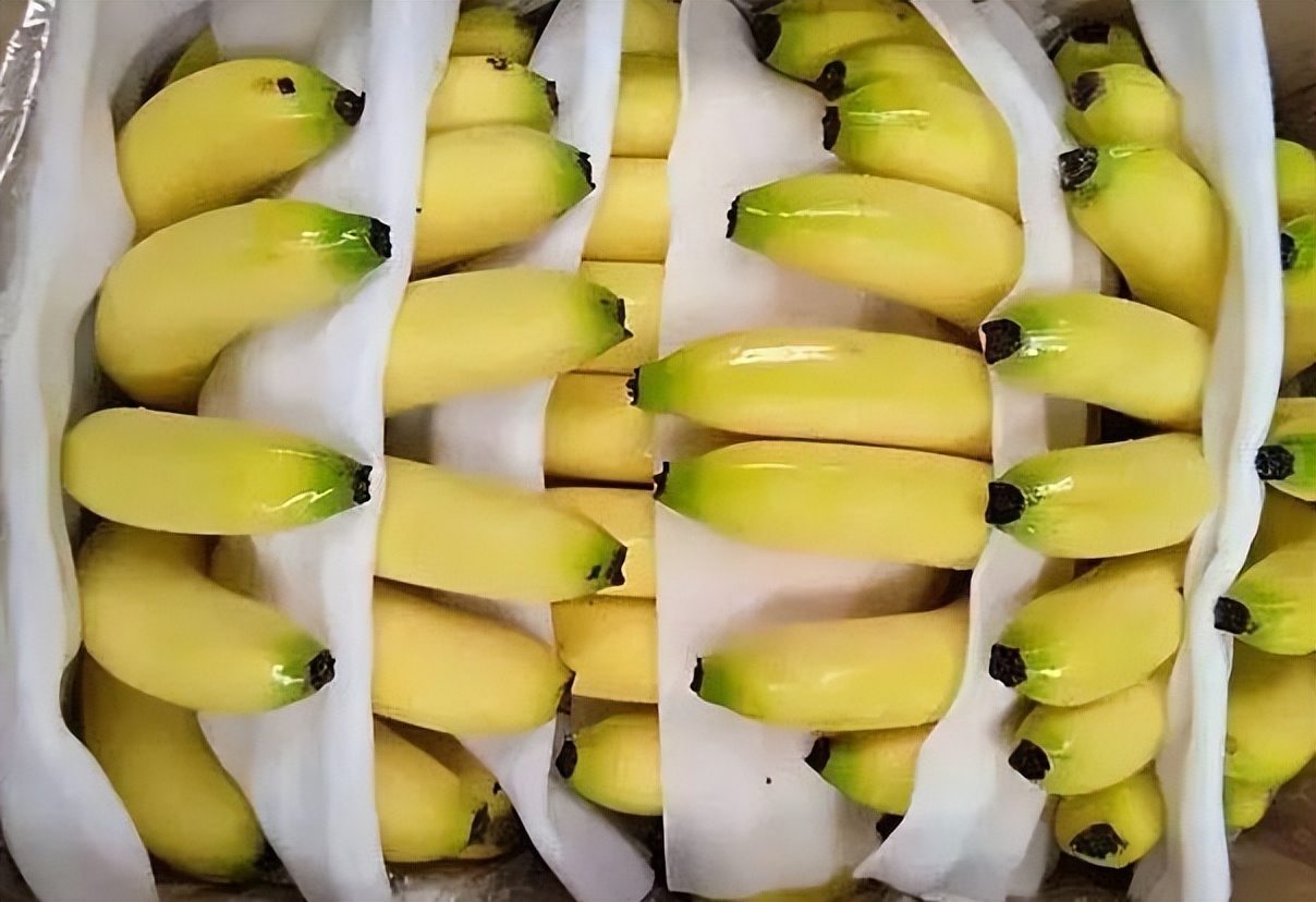 肠道的“推粪器”，香蕉不在其中，每天坚持吃，帮你缓解便秘困扰