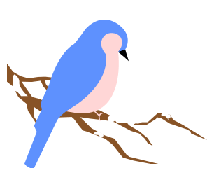 绿色百科 | 为什么说生物多样性是我们的生命？