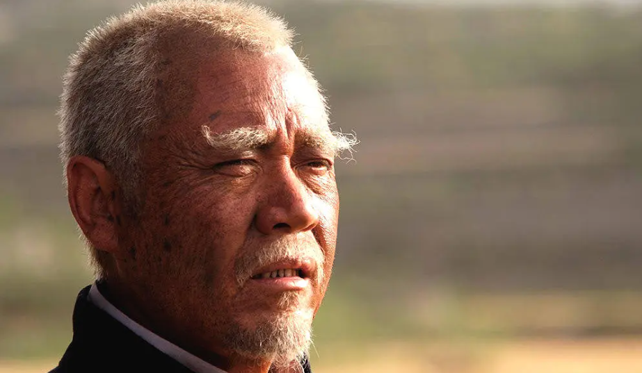 近十年口碑最好的9部乡土剧：《白鹿原》第3，《平凡的世界》第2