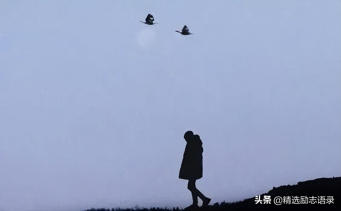 感恩有你陪伴，温暖同行每一步路，心中满怀感激之情。