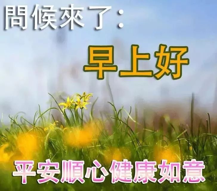 新版早上好图片带字 夏天早上做好表情包，注意防暑，补充水分图片