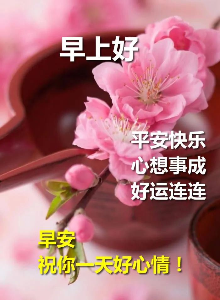 周末欢乐 早上好的问候语带图片 愿你一生被爱、一生可爱图片