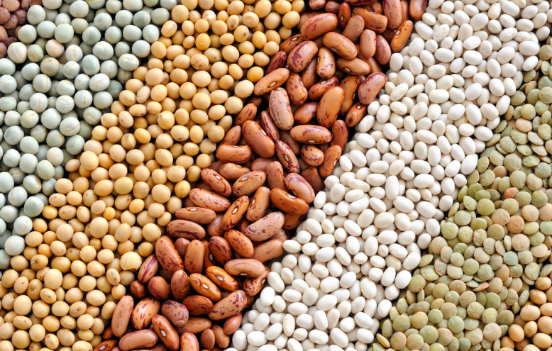 马拉维旱季种植普通豆类水管理技术的农艺和社会经济分析