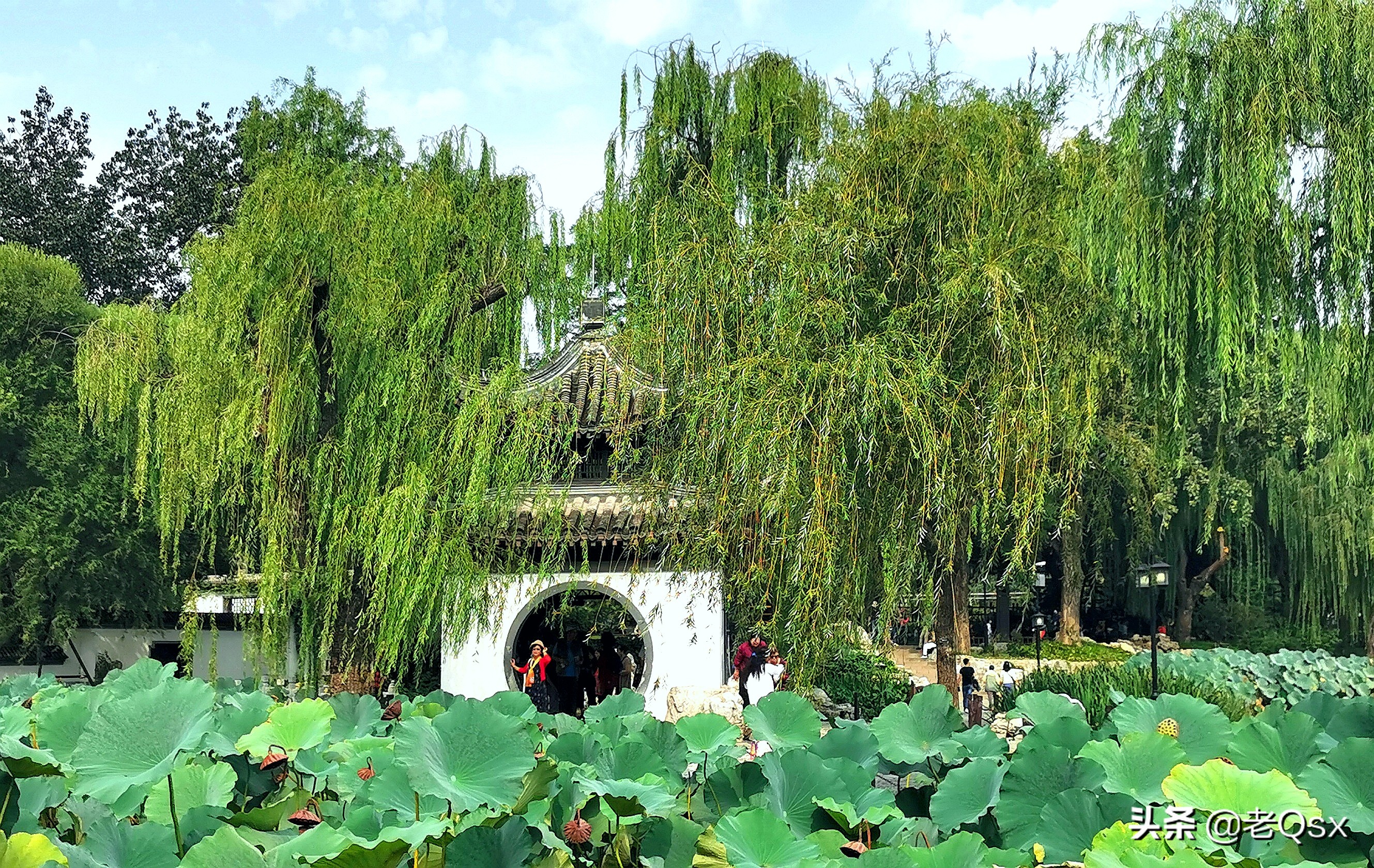 四十年京城情愫