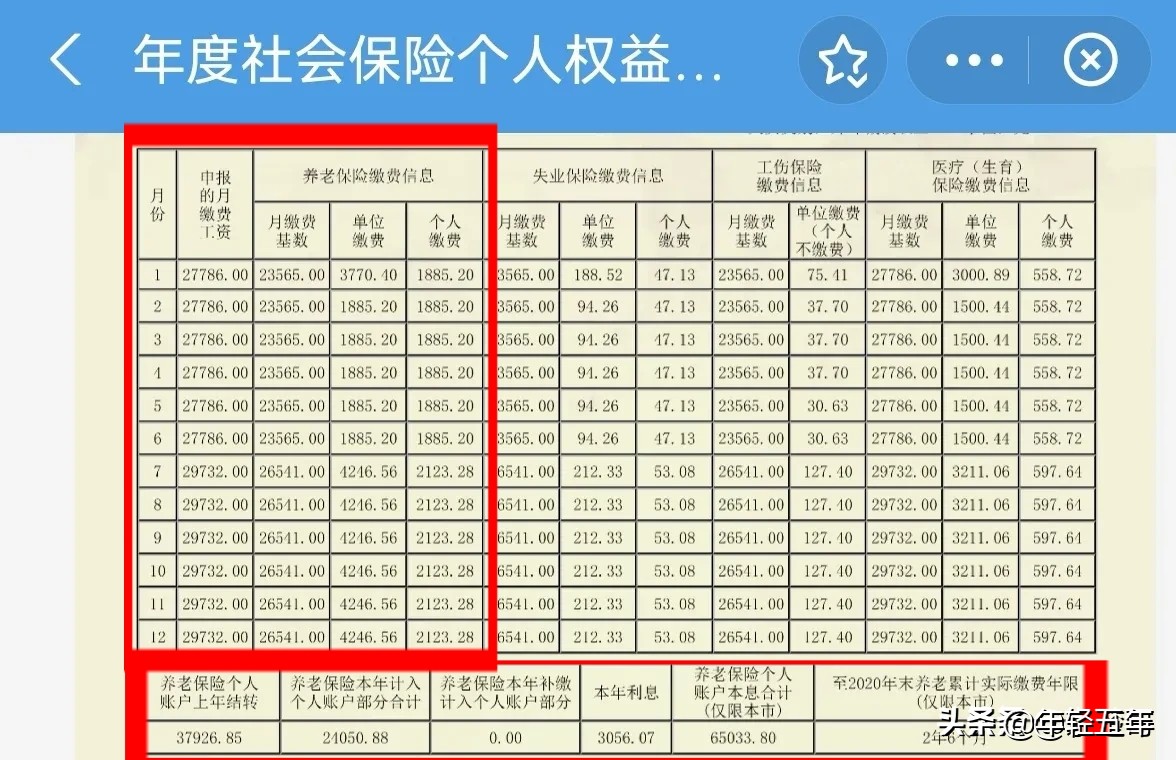 养老保险查询个人账户,养老保险查询个人账户缴费明细查询