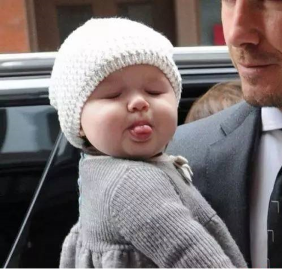 超级萌宠贝小七:一个表情赢得世人钟爱,遗传到父亲的高颜值 - 114货源