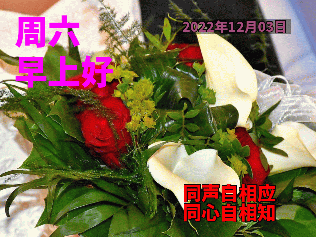12月3日周六早安 清晨早上好表情包祝福语 祝你幸福永远、笑容灿烂图片