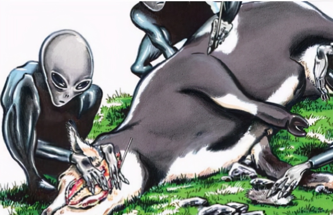 美国屠牛事件，被神秘肢解的牛牛真的是外星人所为吗？