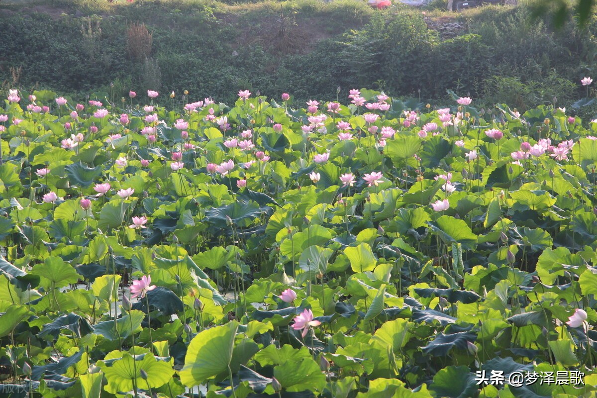 老有所乐 银发舞动 云梦城关镇老年大学建新社区学习点舞蹈班开班了
