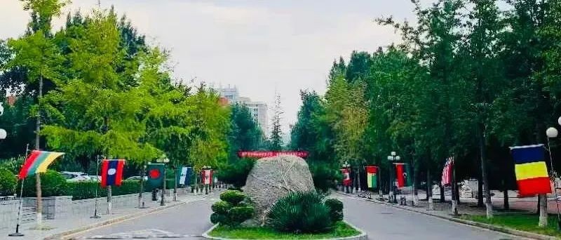 刚刚发布！2022中国大学专业排名揭晓，覆盖全国990所高校！