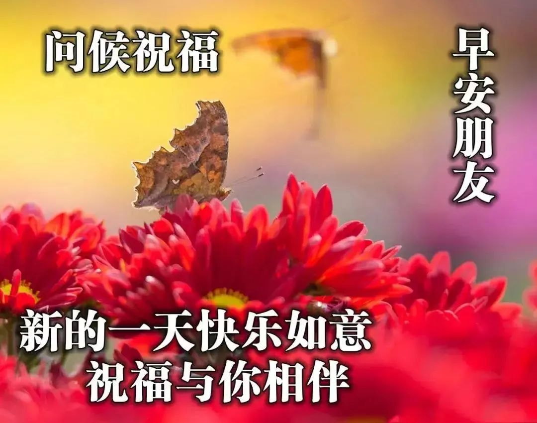 星期四感恩节清晨早上好问候祝福动态表情图片 感恩有你，幸福同行图片