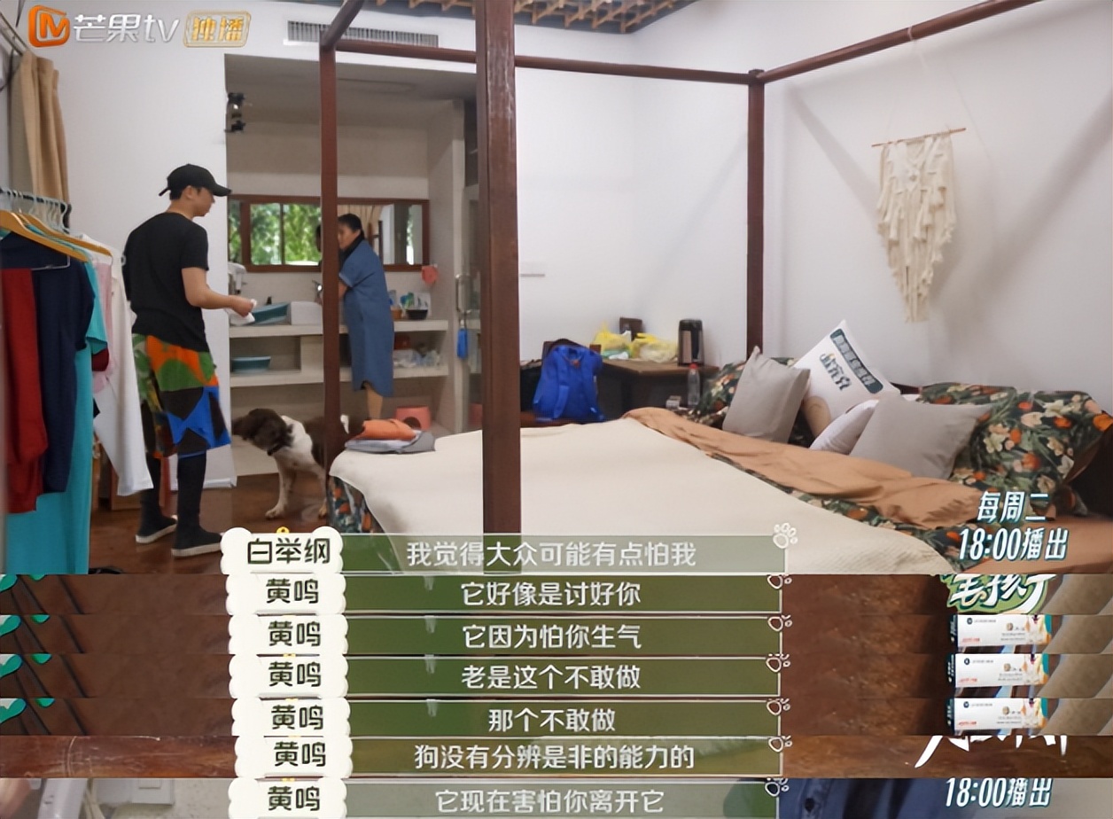 10分钟看哭7次！当他们不再“有用”的时候，却也无法正常生活