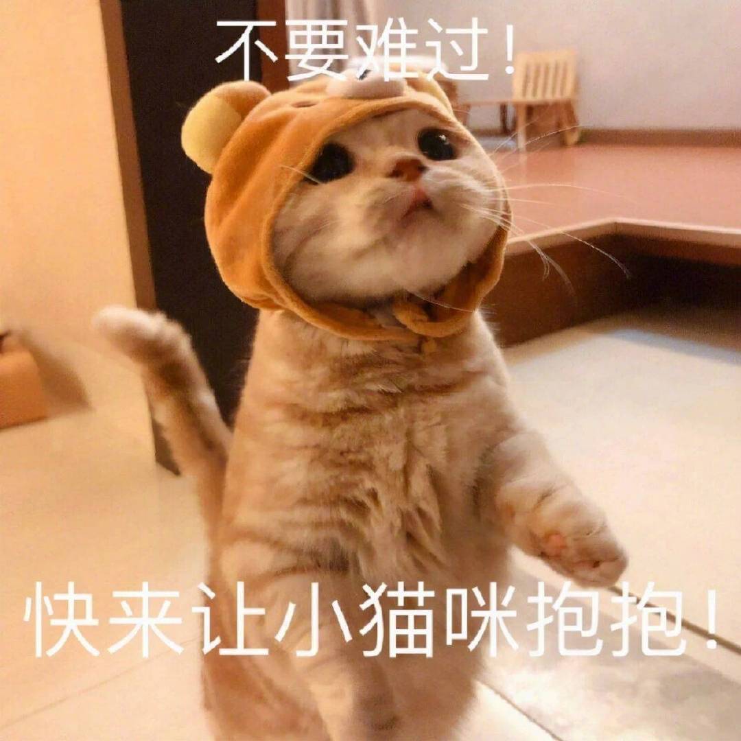 谢谢，有被无语到