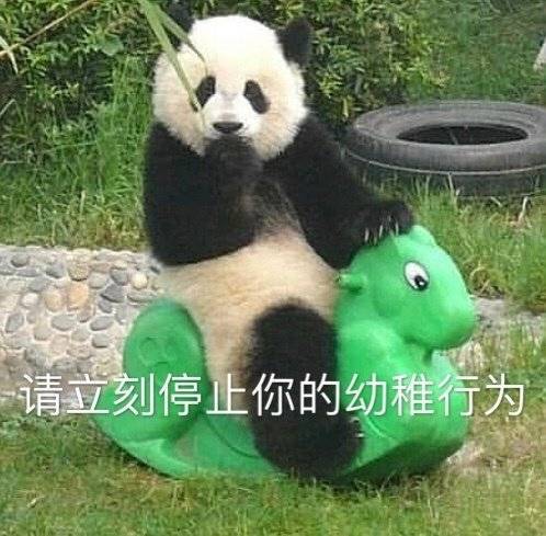 要跟我功夫熊猫比划比划吗表情包