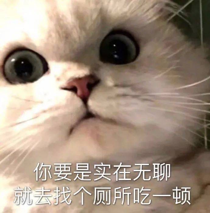 我小白兔绝不认输