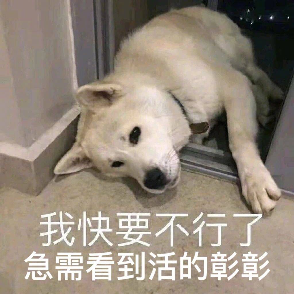 我就吃了一碗饭表情包