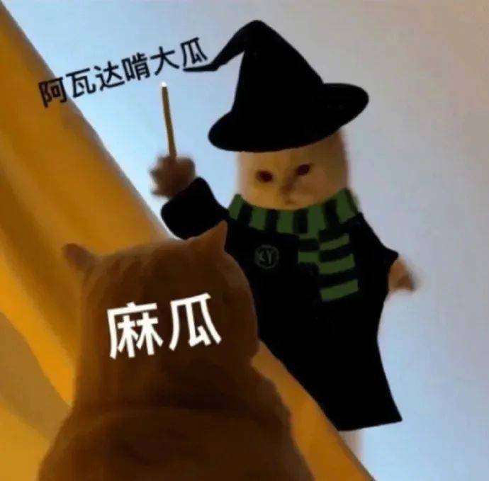 老娘真可爱  嘤嘤嘤表情包